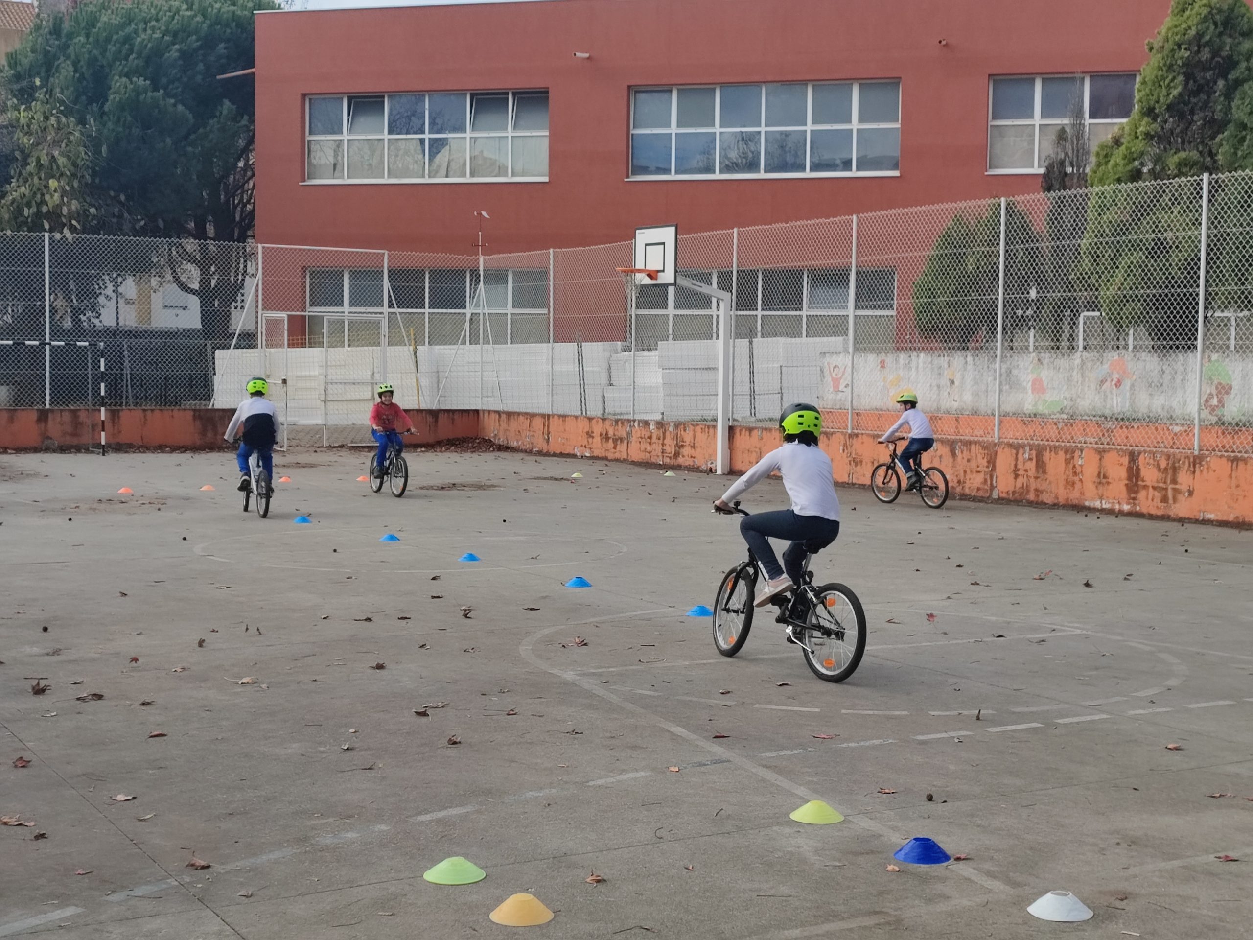 Vamos jogar o Jogo da Mobilidade Serpente Papa Léguas! – Agrupamento de  Escolas de Aveiro